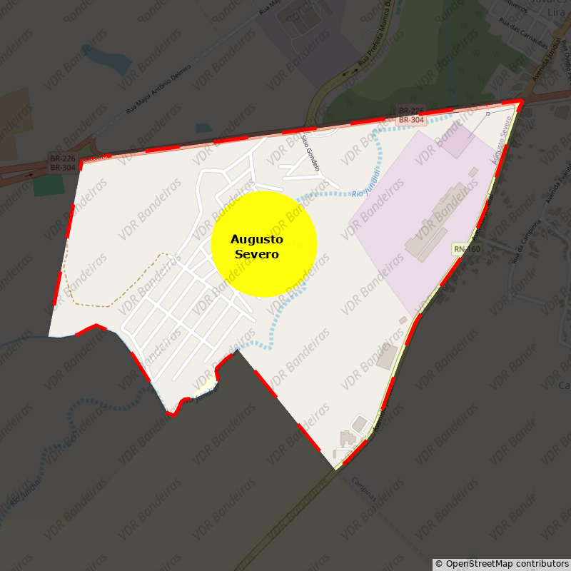 Imagem da Bandeira Augusto Severo