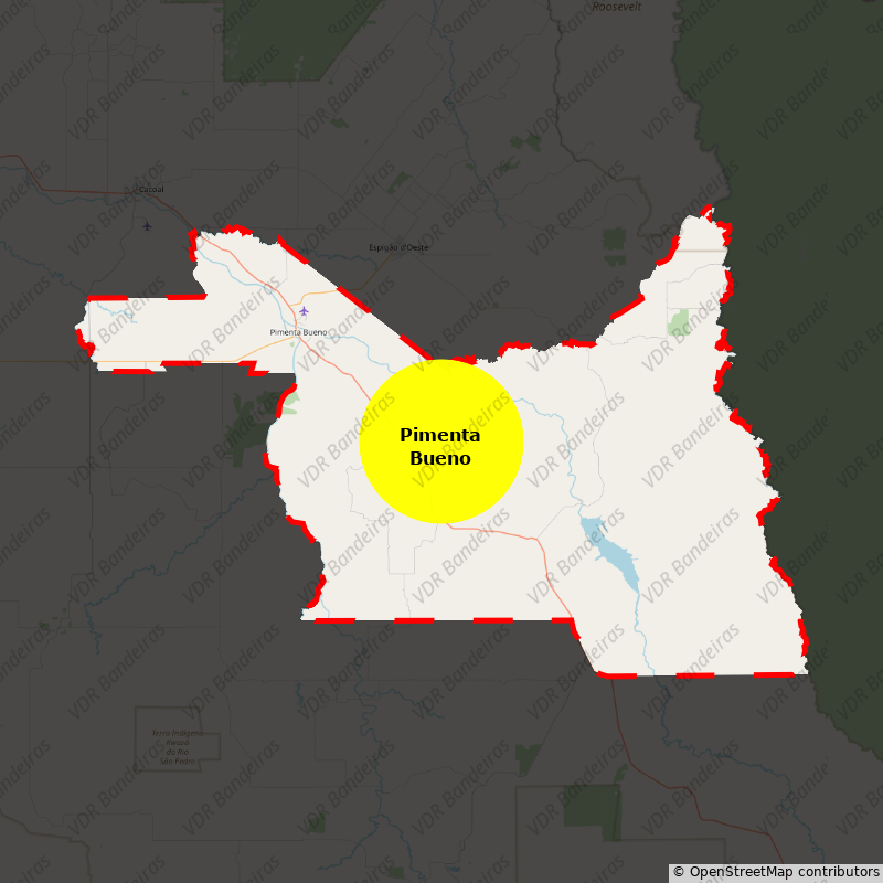 Imagem da Bandeira Pimenta Bueno