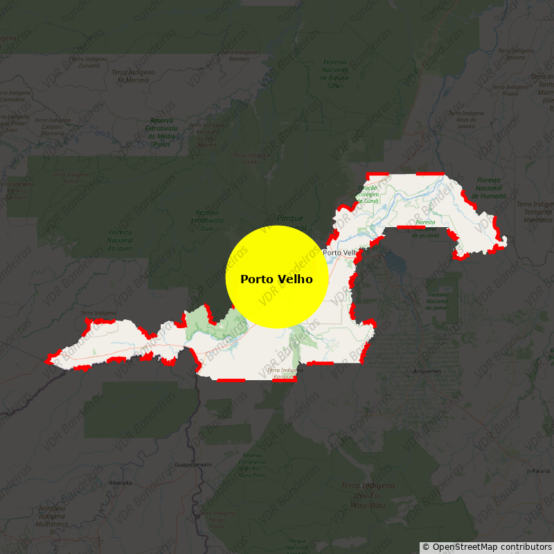 Imagem da Bandeira Porto Velho