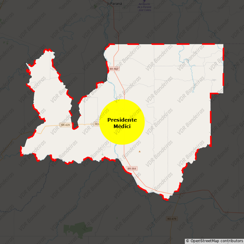 Imagem da Bandeira Presidente Médici