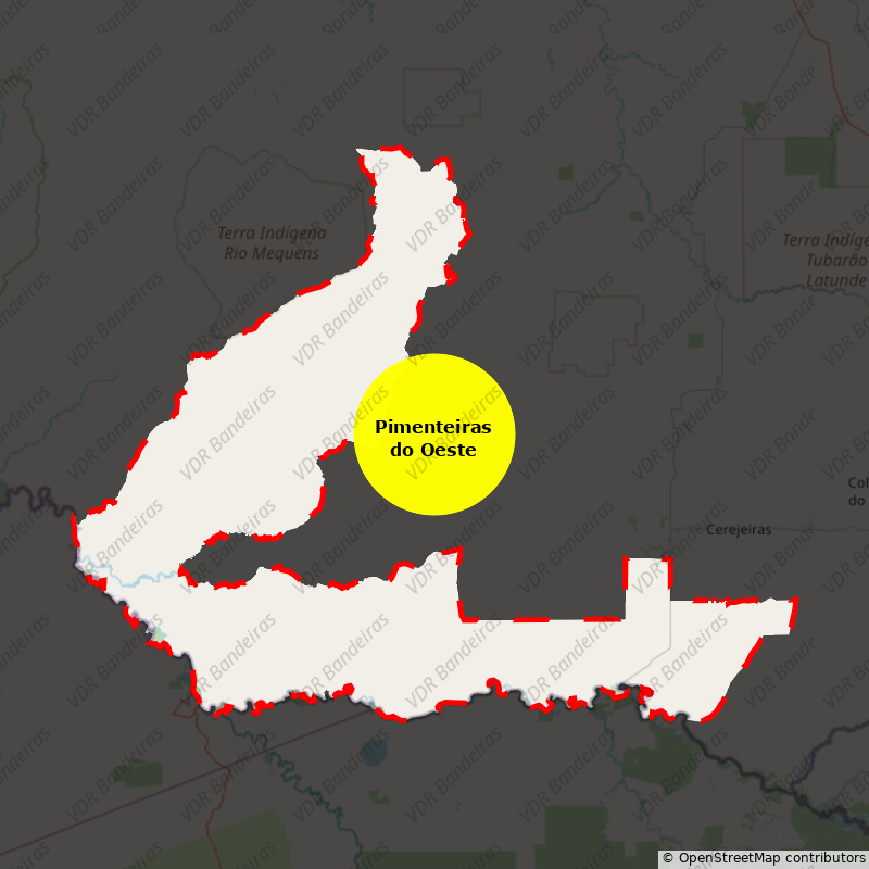 Imagem da Bandeira Pimenteiras do Oeste