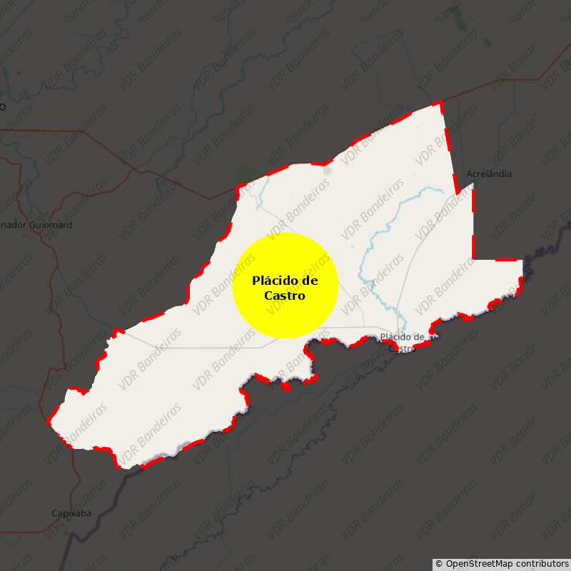 Imagem da Bandeira Plácido de Castro