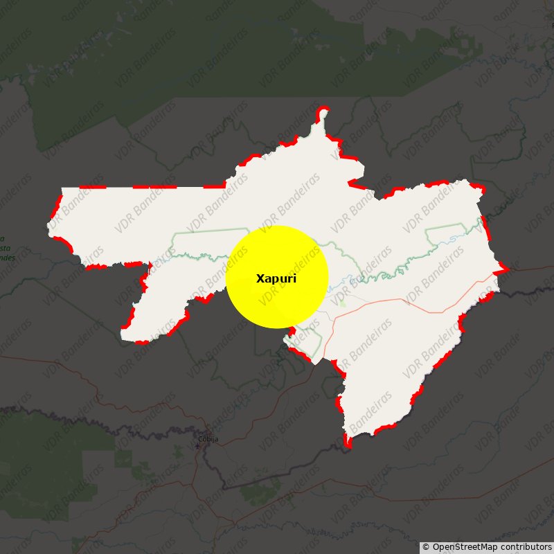 Imagem da Bandeira Xapuri