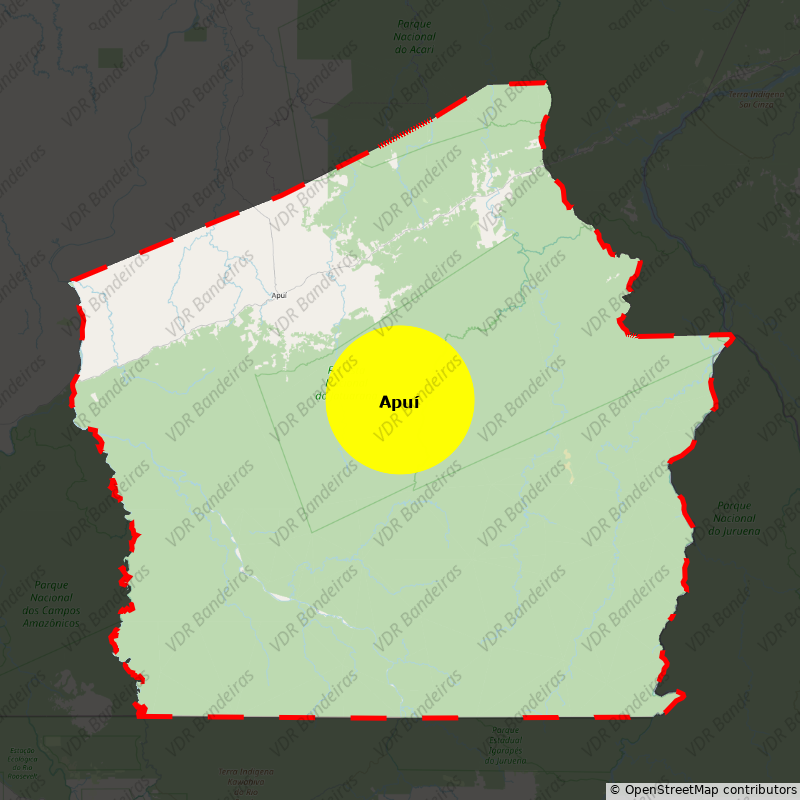 Imagem da Bandeira Apuí