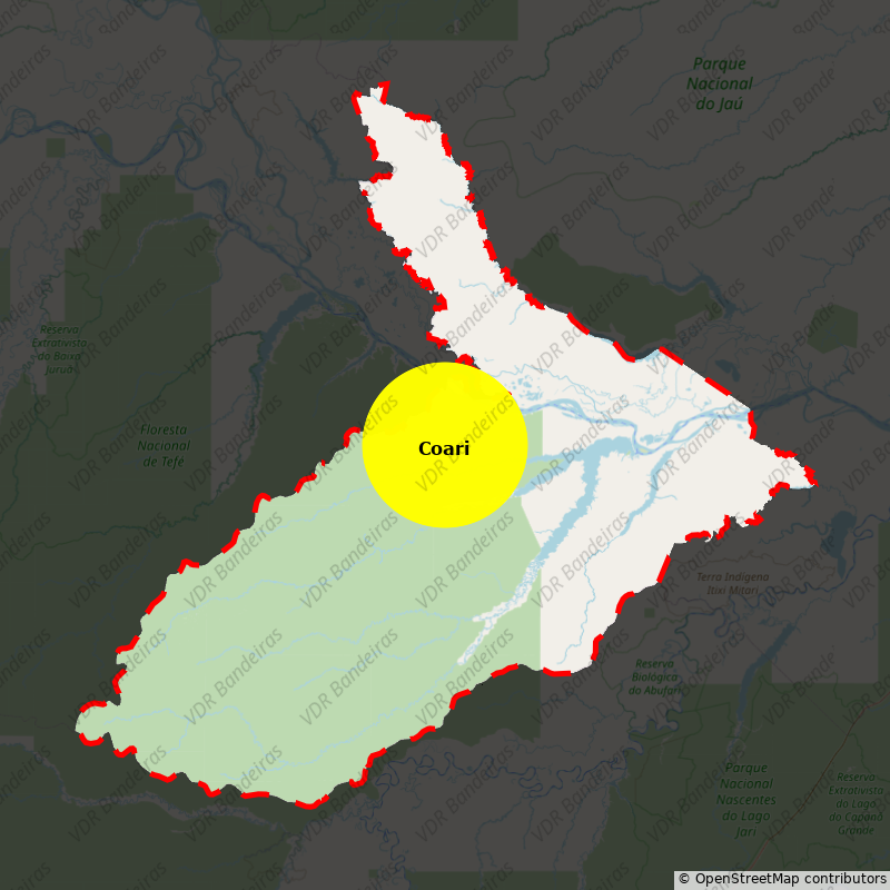 Imagem da Bandeira Coari