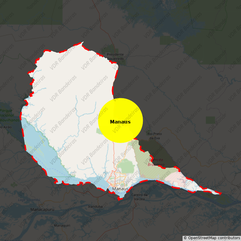 Imagem da Bandeira Manaus