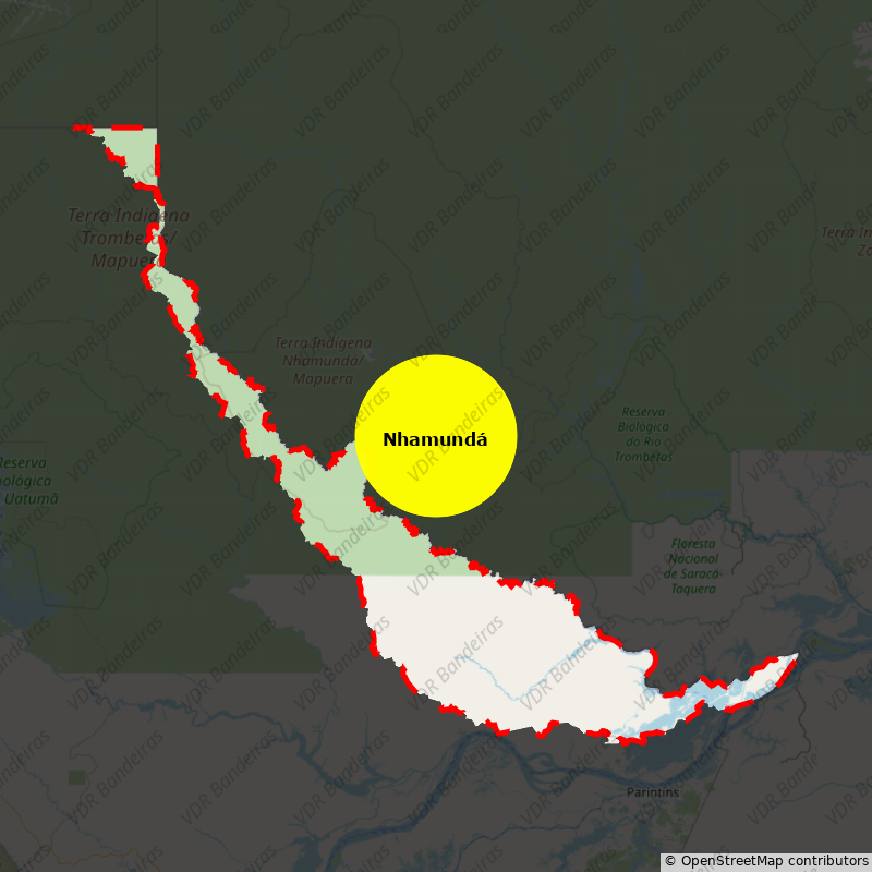 Imagem da Bandeira Nhamundá