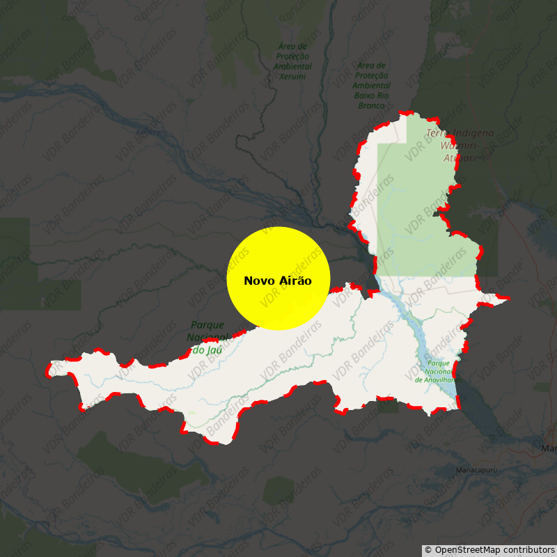 Imagem da Bandeira Novo Airão