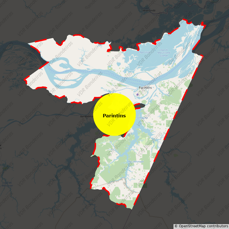 Imagem da Bandeira Parintins