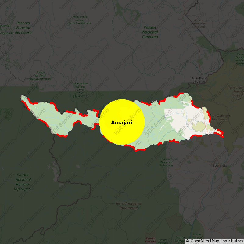 Imagem da Bandeira Amajari