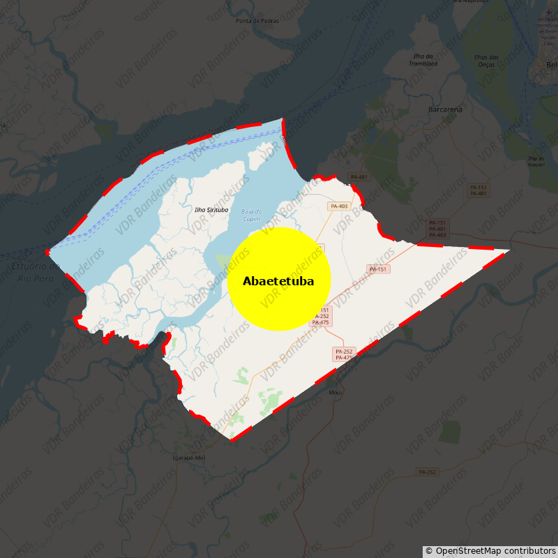 Imagem da Bandeira Abaetetuba