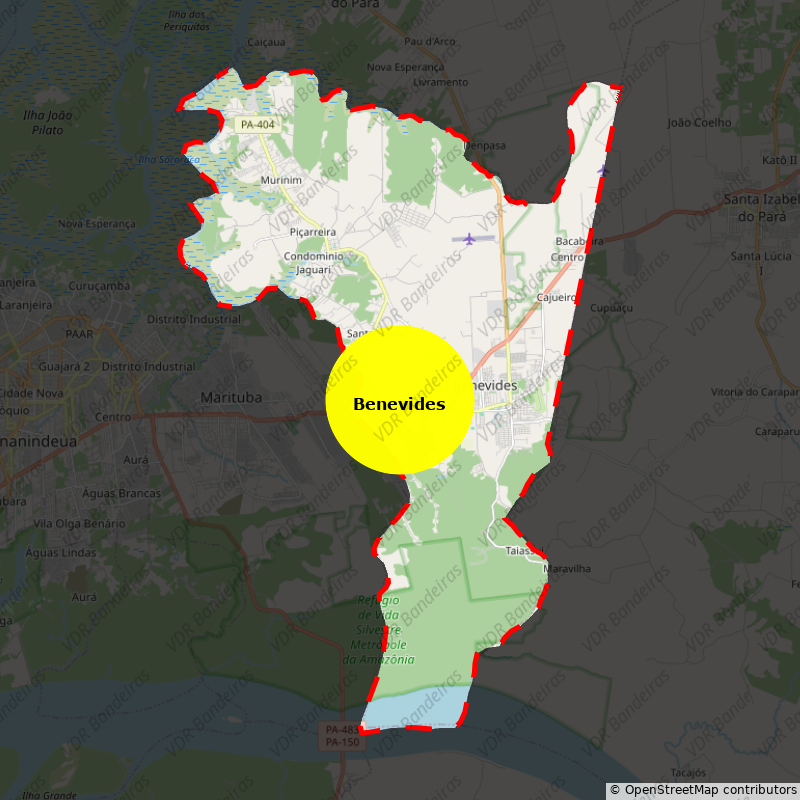 Imagem da Bandeira Benevides