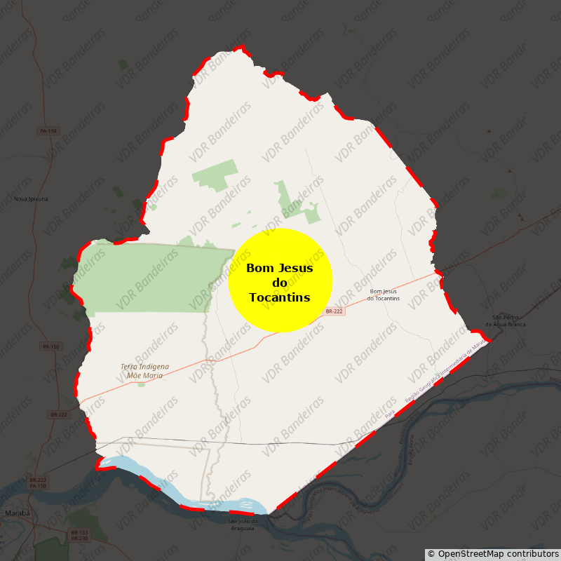 Imagem da Bandeira Bom Jesus do Tocantins