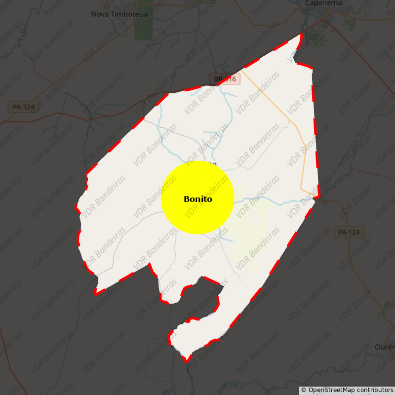 Imagem da Bandeira Bonito