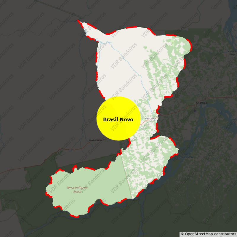 Imagem da Bandeira Brasil Novo