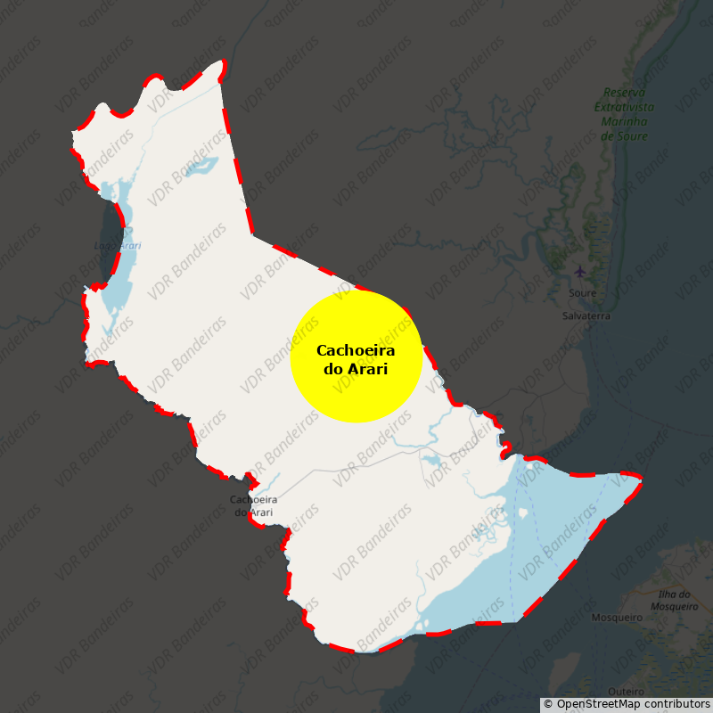 Imagem da Bandeira Cachoeira do Arari