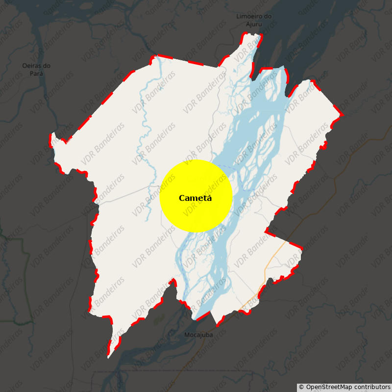 Imagem da Bandeira Cametá
