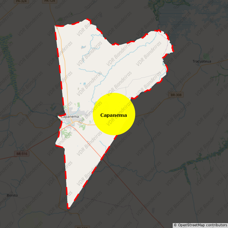 Imagem da Bandeira Capanema