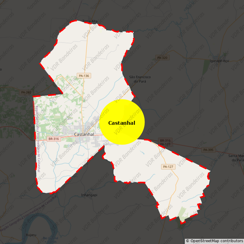 Imagem da Bandeira Castanhal