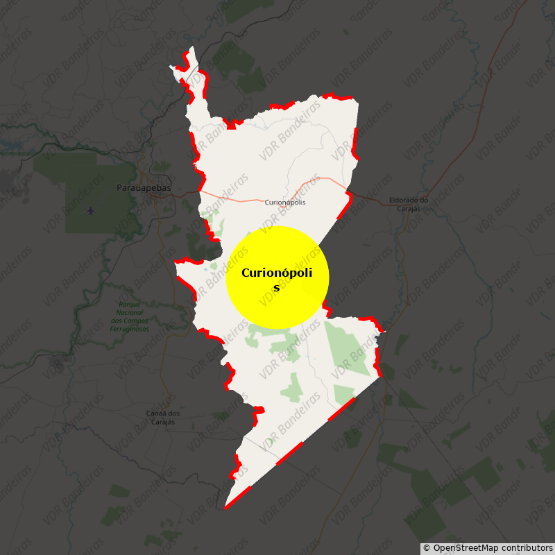 Imagem da Bandeira Curionópolis