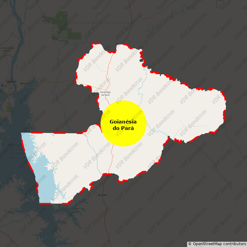 Imagem da Bandeira Goianésia do Pará