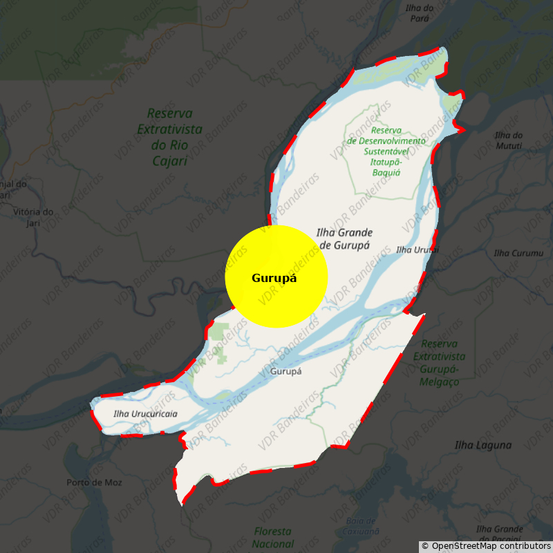 Imagem da Bandeira Gurupá