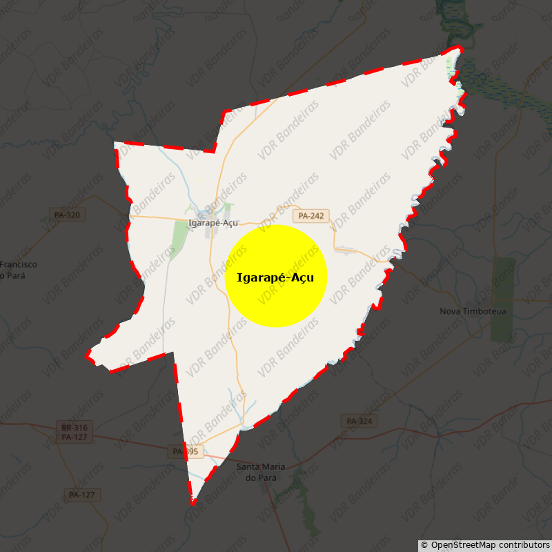 Imagem da Bandeira Igarapé-Açu