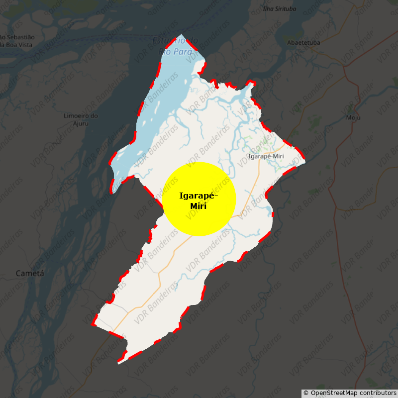 Imagem da Bandeira Igarapé-Miri
