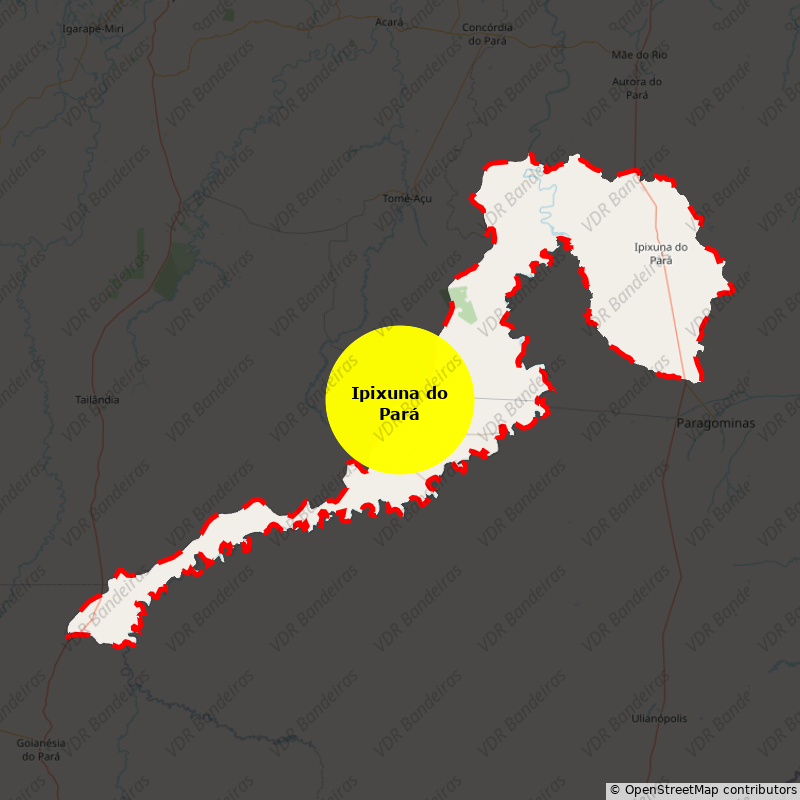 Imagem da Bandeira Ipixuna do Pará