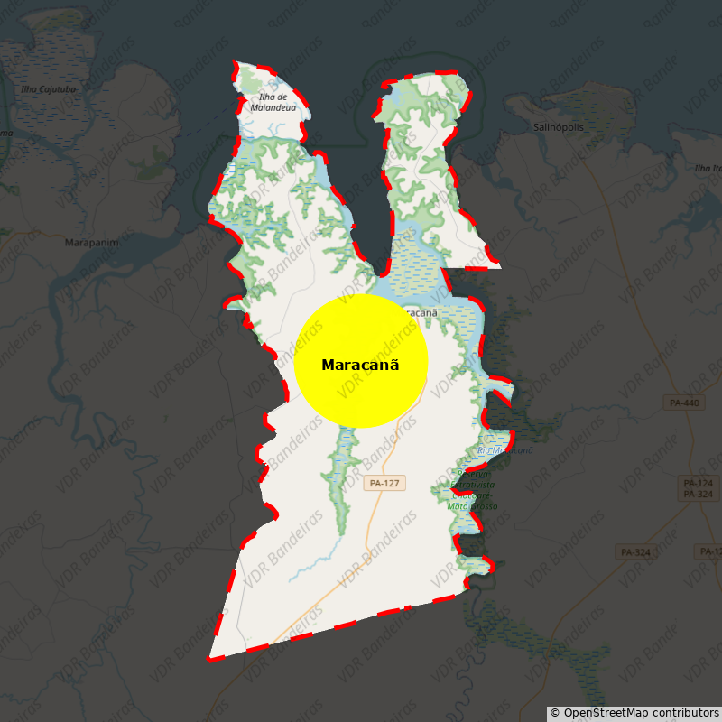 Imagem da Bandeira Maracanã