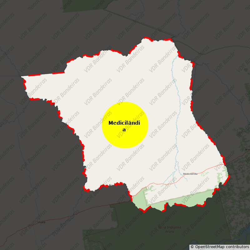 Imagem da Bandeira Medicilândia