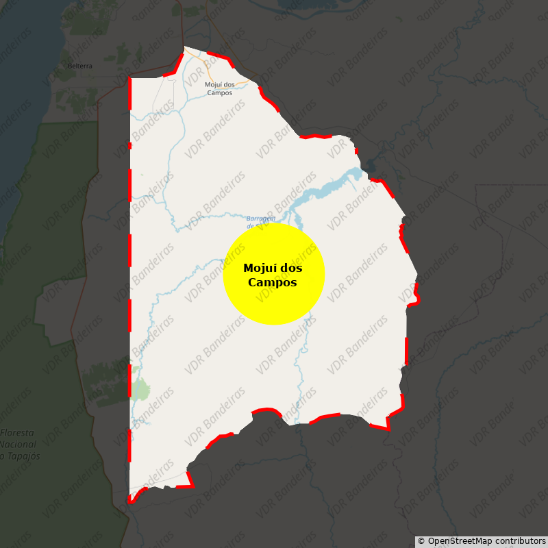 Imagem da Bandeira Mojuí dos Campos