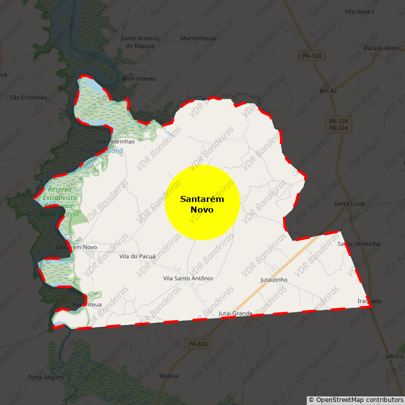 Imagem da Bandeira Santarém Novo