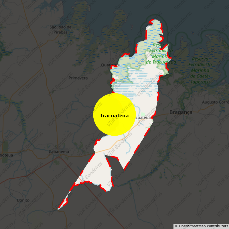 Imagem da Bandeira Tracuateua
