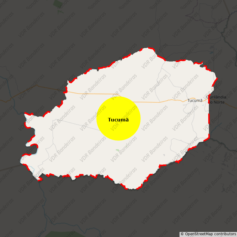 Imagem da Bandeira Tucumã