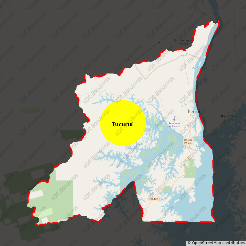 Imagem da Bandeira Tucuruí