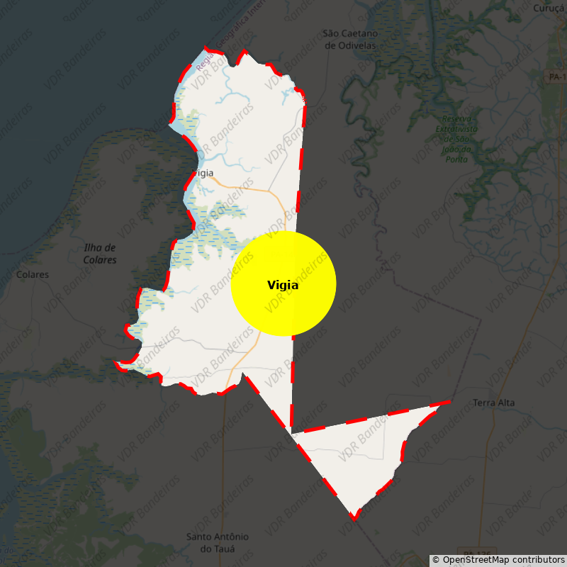 Imagem da Bandeira Vigia