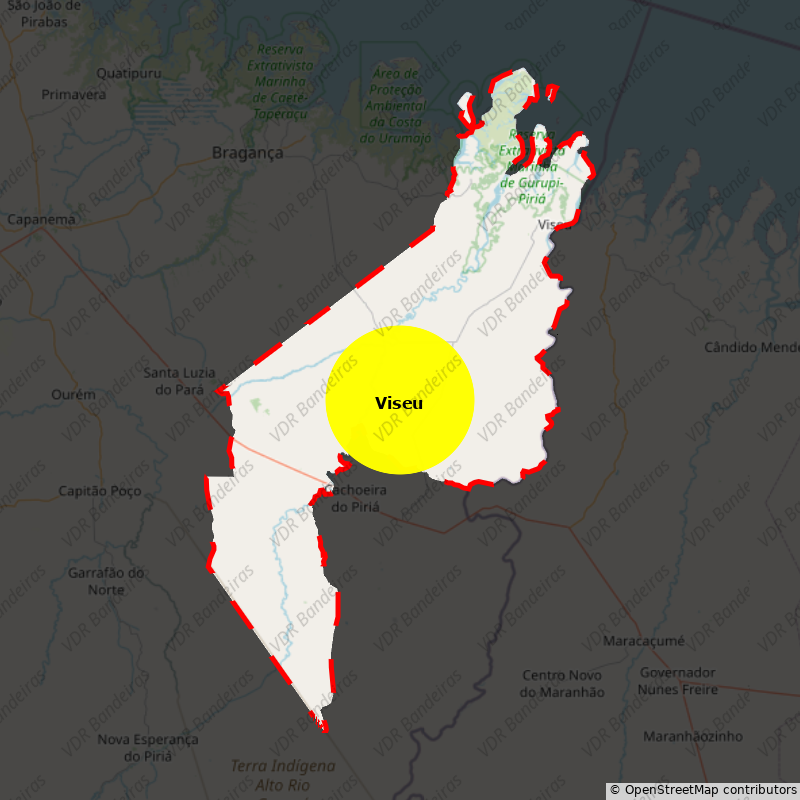 Imagem da Bandeira Viseu