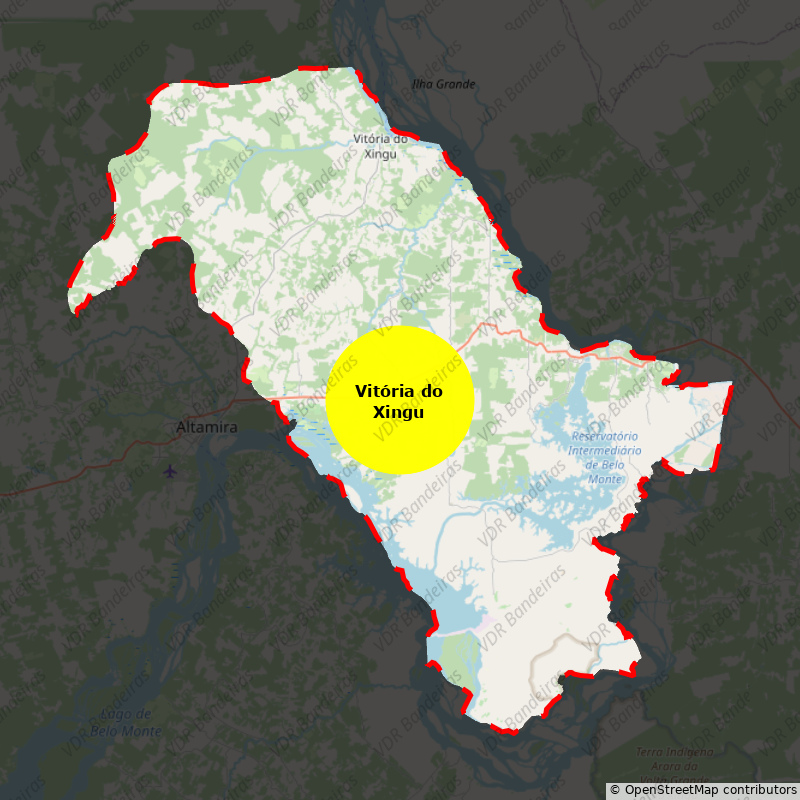 Imagem da Bandeira Vitória do Xingu