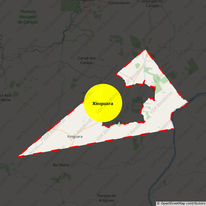 Imagem da Bandeira Xinguara