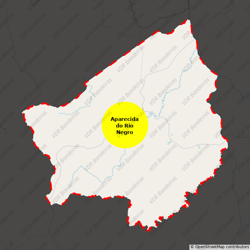 Imagem da Bandeira Aparecida do Rio Negro