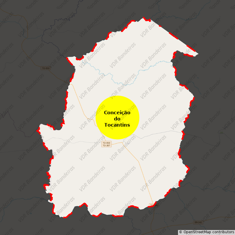 Imagem da Bandeira Conceição do Tocantins