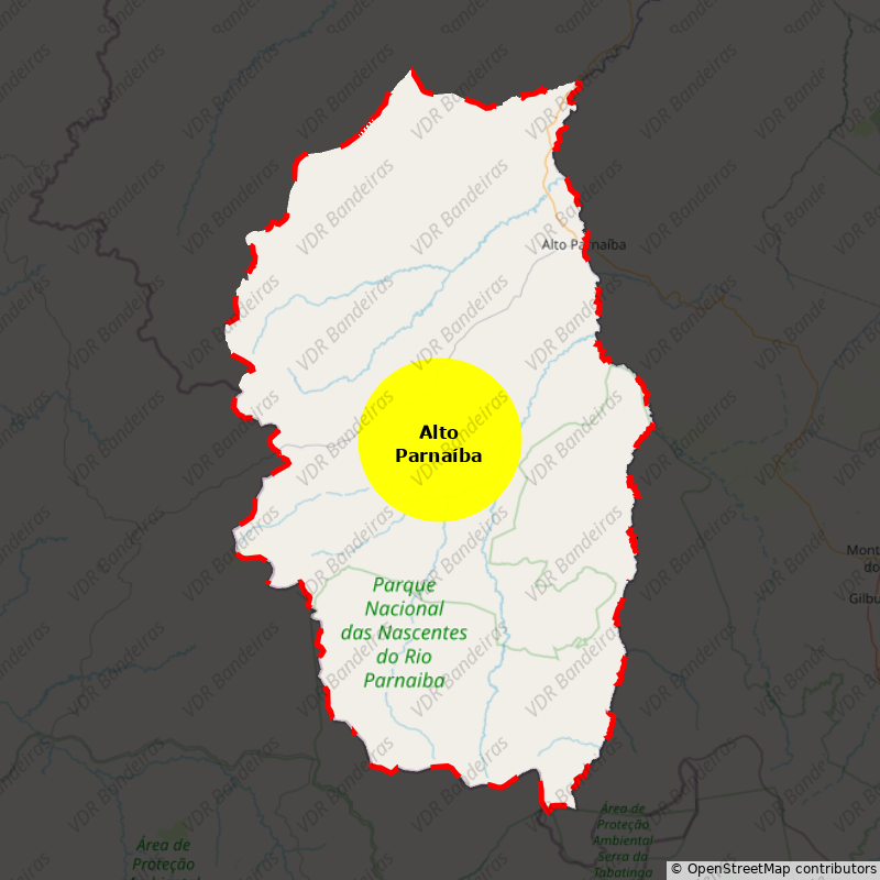Imagem da Bandeira Alto Parnaíba