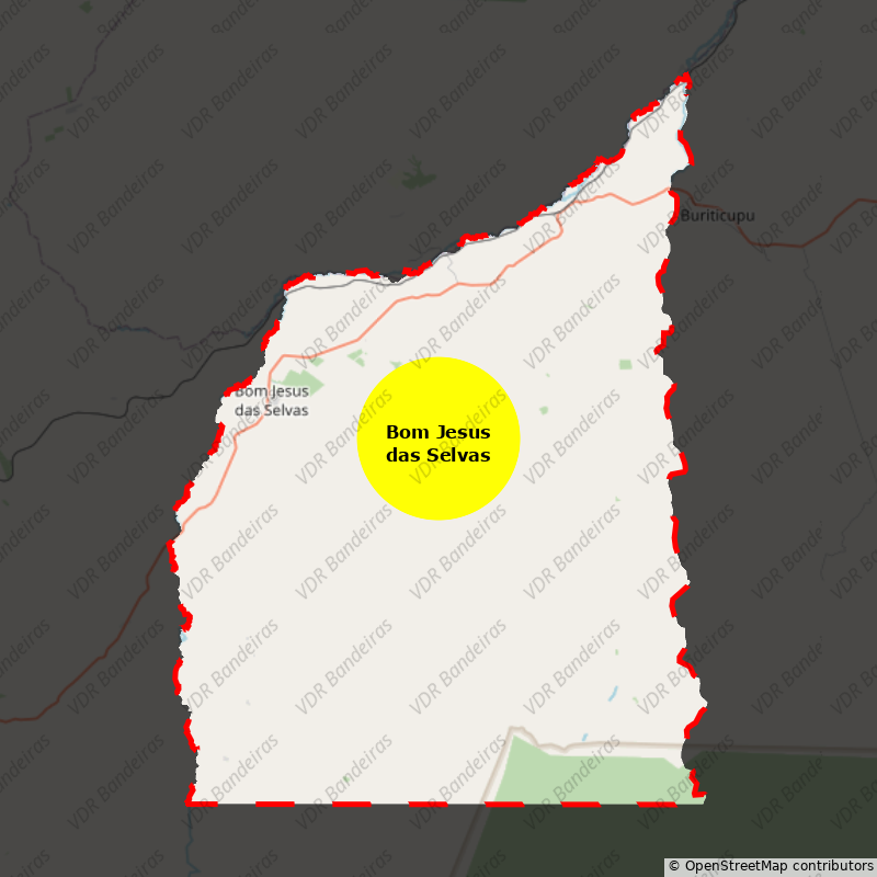 Imagem da Bandeira Bom Jesus das Selvas