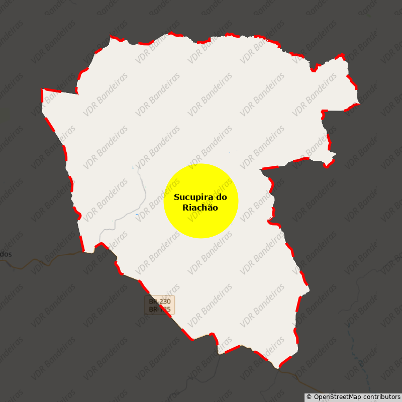 Imagem da Bandeira Sucupira do Riachão