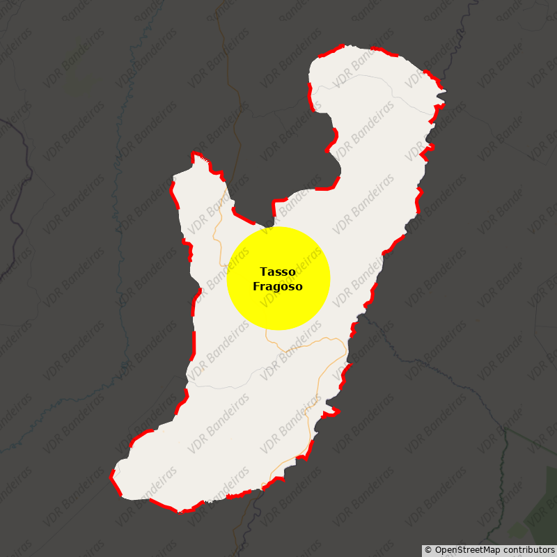 Imagem da Bandeira Tasso Fragoso