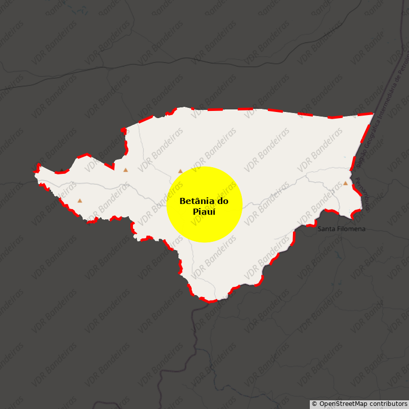 Imagem da Bandeira Betânia do Piauí