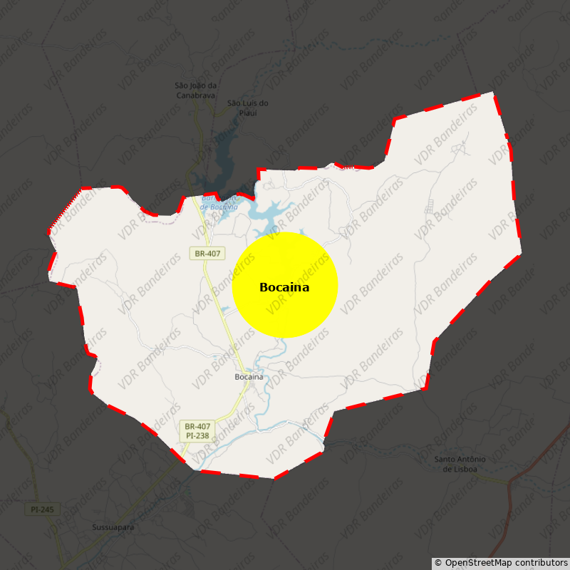 Imagem da Bandeira Bocaina