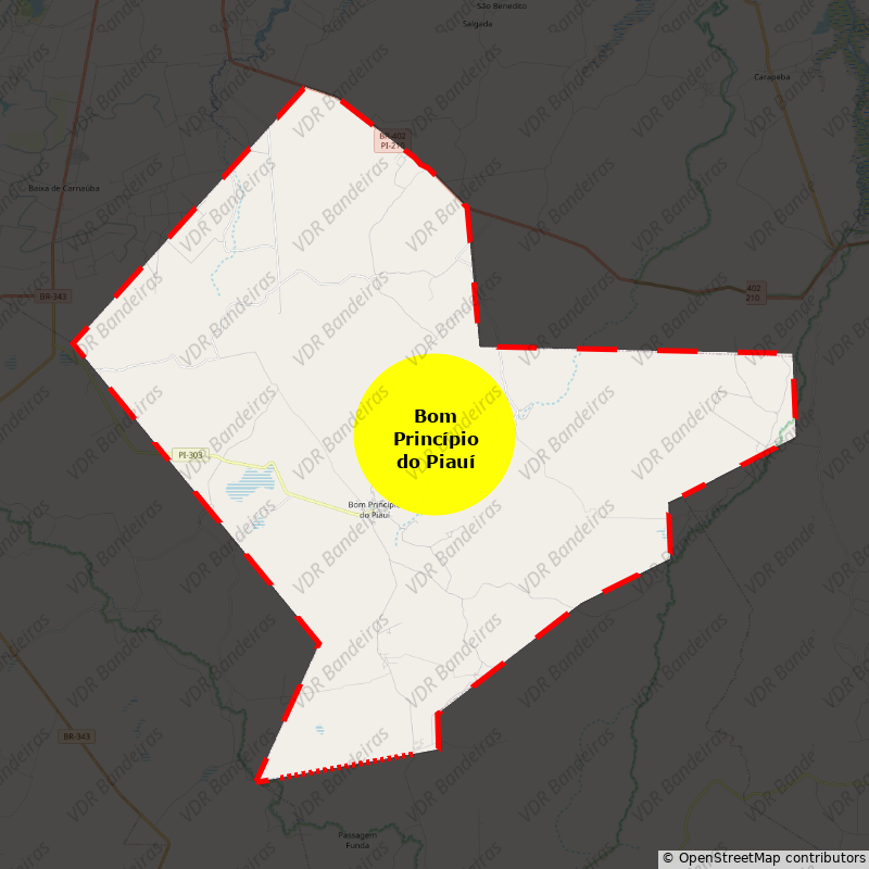 Imagem da Bandeira Bom Princípio do Piauí