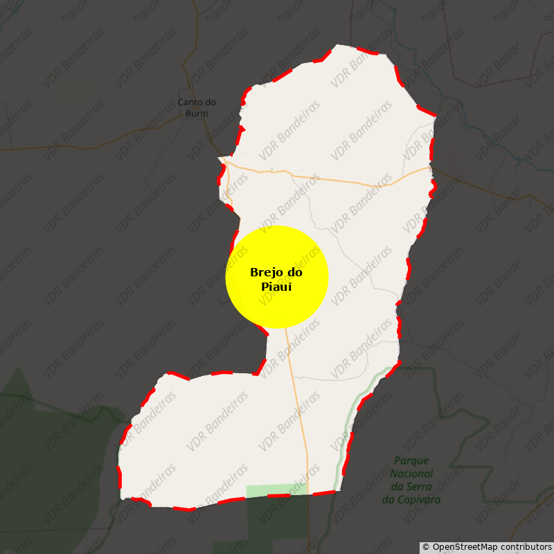 Imagem da Bandeira Brejo do Piauí